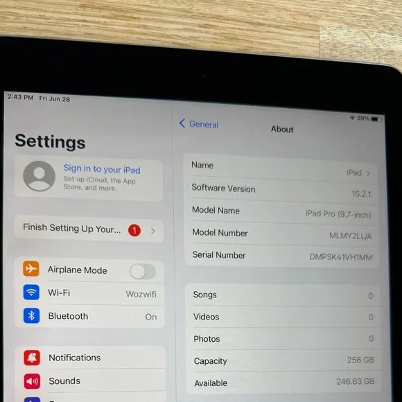 Apple iPad Pro 1st Gen. 256GB, 9.7in